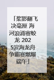 桨影翻飞决毫厘 海河浪涌赛蛟龙 2025滨海龙舟争霸赛燃爆端午