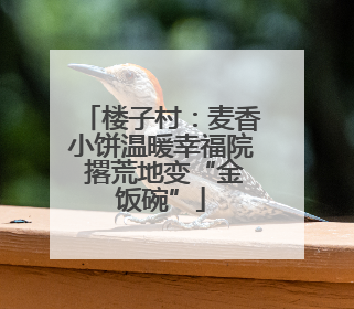 楼子村：麦香小饼温暖幸福院 撂荒地变“金饭碗”