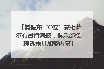 樊振东“C位”亮相萨尔布吕肯海报，俱乐部经理透露其加盟内幕