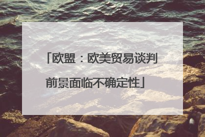 欧盟：欧美贸易谈判前景面临不确定性