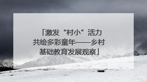 激发“村小”活力 共绘多彩童年——乡村基础教育发展观察