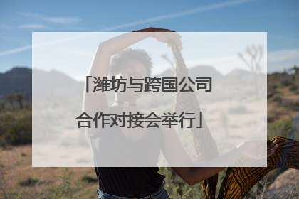 潍坊与跨国公司合作对接会举行