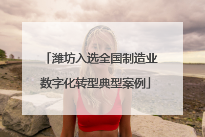 潍坊入选全国制造业数字化转型典型案例