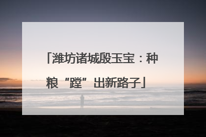 潍坊诸城殷玉宝：种粮“蹚”出新路子