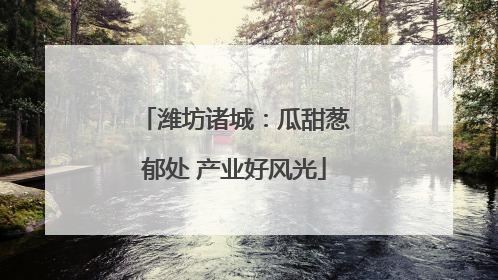 潍坊诸城：瓜甜葱郁处 产业好风光