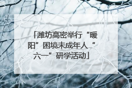 潍坊高密举行“暖阳”困境未成年人“六一”研学活动