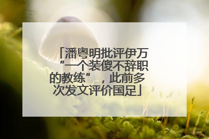潘粤明批评伊万“一个装傻不辞职的教练”，此前多次发文评价国足