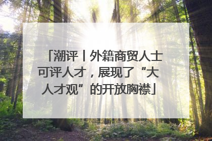 潮评丨外籍商贸人士可评人才，展现了“大人才观”的开放胸襟