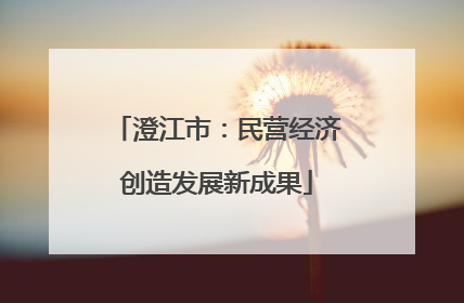 澄江市：民营经济创造发展新成果