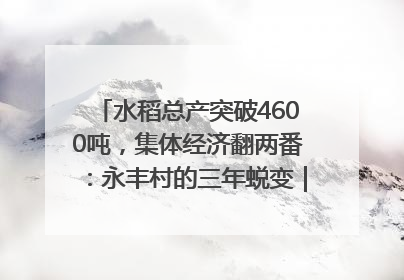 水稻总产突破4600吨，集体经济翻两番：永丰村的三年蜕变｜您牵挂的四川