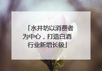 水井坊以消费者为中心，打造白酒行业新增长极
