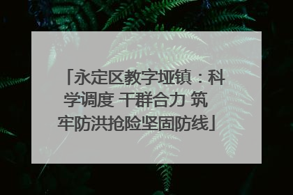 永定区教字垭镇：科学调度 干群合力 筑牢防洪抢险坚固防线