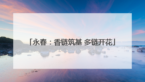 永春：香链筑基 多链开花