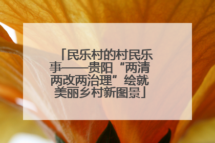 民乐村的村民乐事——贵阳“两清两改两治理”绘就美丽乡村新图景
