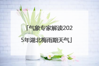 气象专家解读2025年湖北梅雨期天气