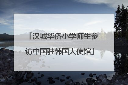 汉城华侨小学师生参访中国驻韩国大使馆