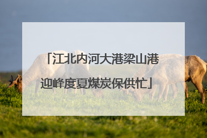 江北内河大港梁山港迎峰度夏煤炭保供忙