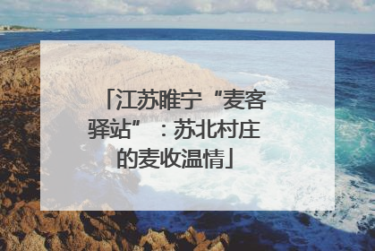 江苏睢宁“麦客驿站”：苏北村庄的麦收温情