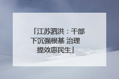 江苏泗洪：干部下沉强根基 治理提效惠民生