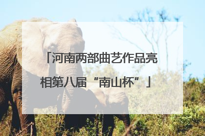 河南两部曲艺作品亮相第八届“南山杯”