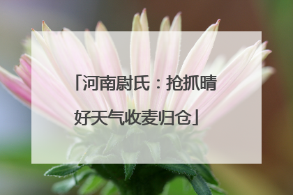 河南尉氏：抢抓晴好天气收麦归仓