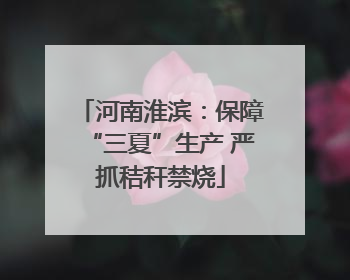 河南淮滨：保障“三夏”生产 严抓秸秆禁烧