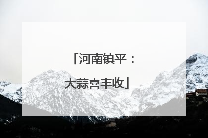 河南镇平：大蒜喜丰收