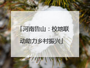河南鲁山：校地联动助力乡村振兴