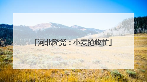 河北隆尧：小麦抢收忙