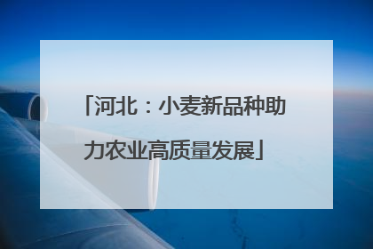 河北：小麦新品种助力农业高质量发展