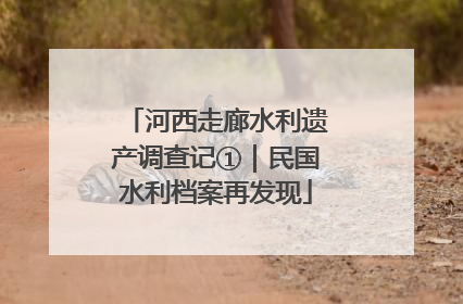 河西走廊水利遗产调查记①｜民国水利档案再发现