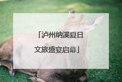 泸州纳溪夏日文旅盛宴启幕