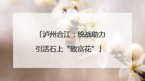 泸州合江：统战助力引活石上“致富花”