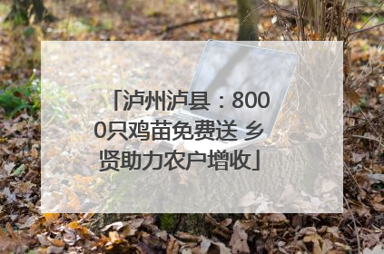泸州泸县：8000只鸡苗免费送 乡贤助力农户增收