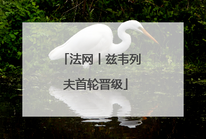 法网丨兹韦列夫首轮晋级