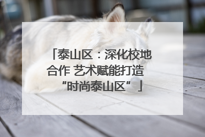 泰山区：深化校地合作 艺术赋能打造“时尚泰山区”