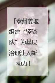泰州姜堰组建“轻骑队”为基层治理注入新动力
