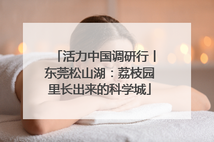 活力中国调研行丨东莞松山湖：荔枝园里长出来的科学城
