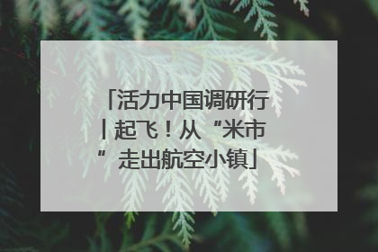 活力中国调研行丨起飞！从“米市”走出航空小镇