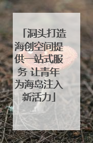 洞头打造海创空间提供一站式服务 让青年为海岛注入新活力