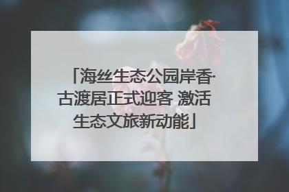 海丝生态公园岸香·古渡居正式迎客 激活生态文旅新动能