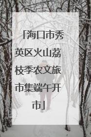 海口市秀英区火山荔枝季农文旅市集端午开市