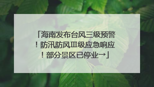 海南发布台风三级预警！防汛防风Ⅲ级应急响应！部分景区已停业→