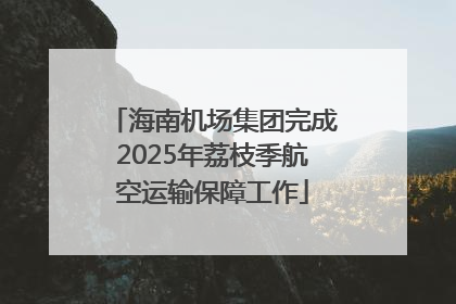 海南机场集团完成2025年荔枝季航空运输保障工作