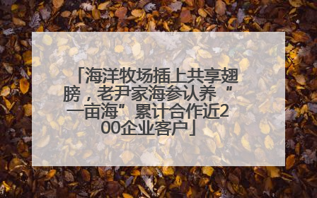 海洋牧场插上共享翅膀，老尹家海参认养“一亩海”累计合作近200企业客户