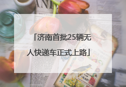 济南首批25辆无人快递车正式上路