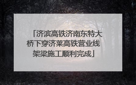 济滨高铁济南东特大桥下穿济莱高铁营业线架梁施工顺利完成