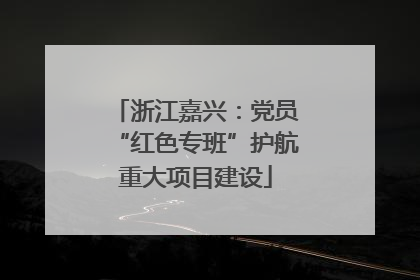 浙江嘉兴：党员“红色专班”护航重大项目建设