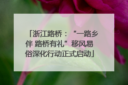 浙江路桥：“一路乡伴 路桥有礼”移风易俗深化行动正式启动