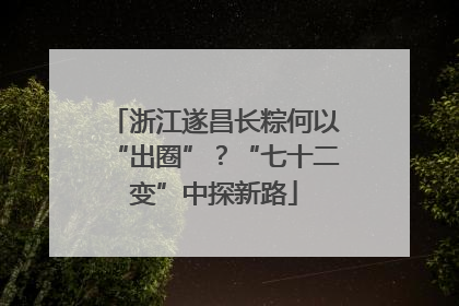 浙江遂昌长粽何以“出圈”？“七十二变”中探新路